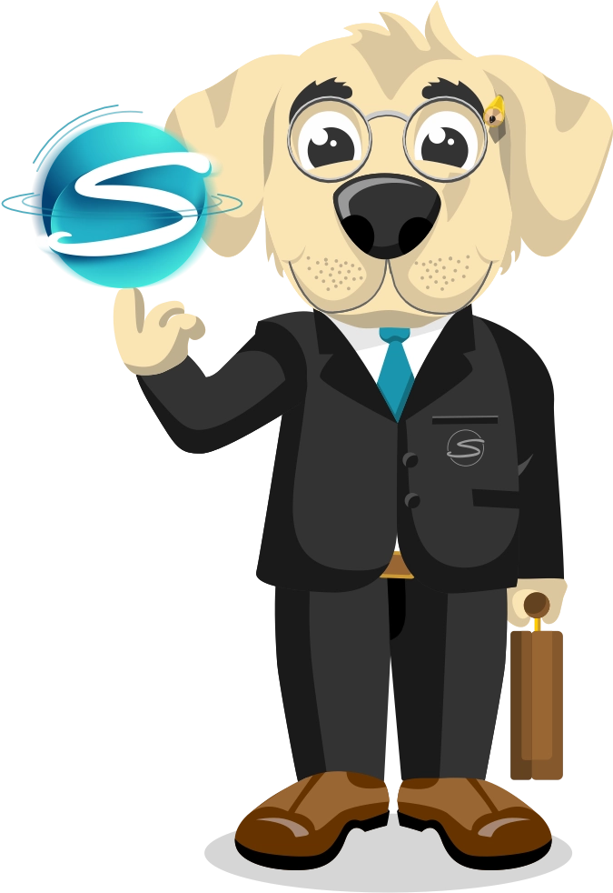 sonnekus & associates accounting & tax_mascot with icon