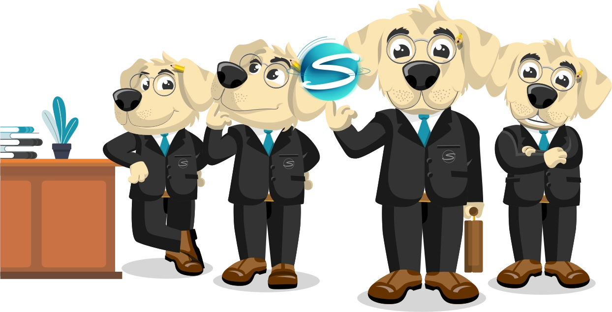sonnekus & associates accounting & tax_mascot with team